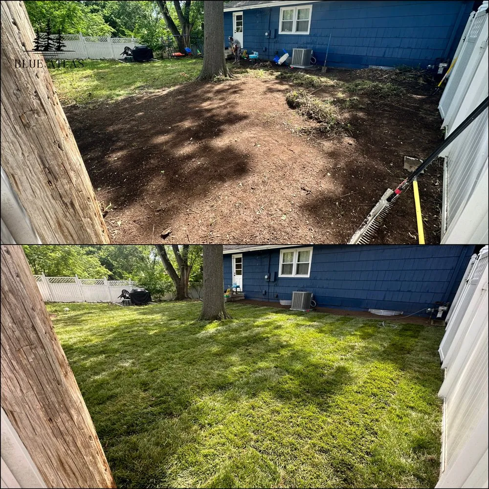Local yard cleanup service in Lee's Summit, MO by Blue Atlas Landscape