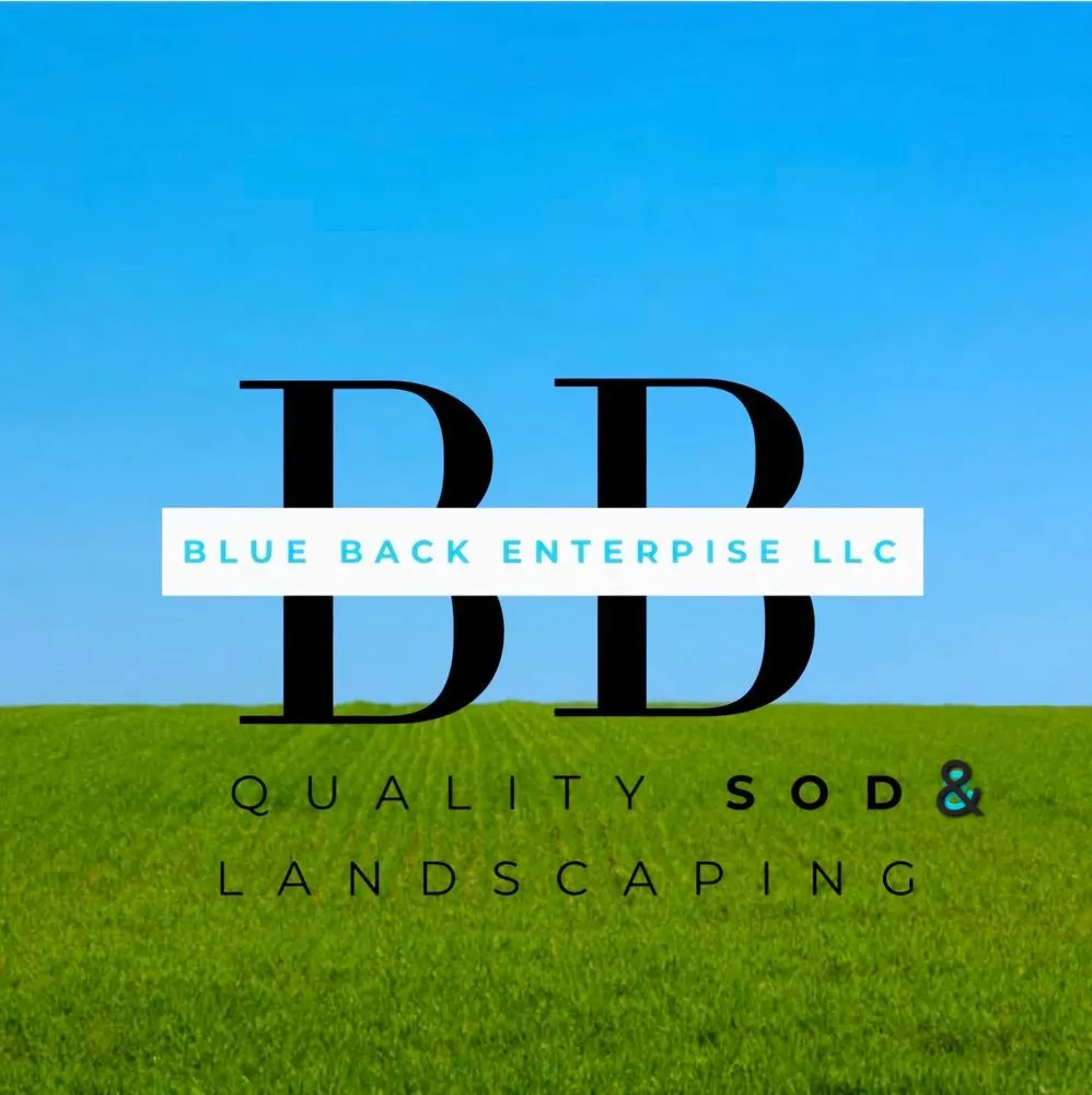Expert landscape design for beautiful yards across Fellsmere, FL - Blue Back Enterprise