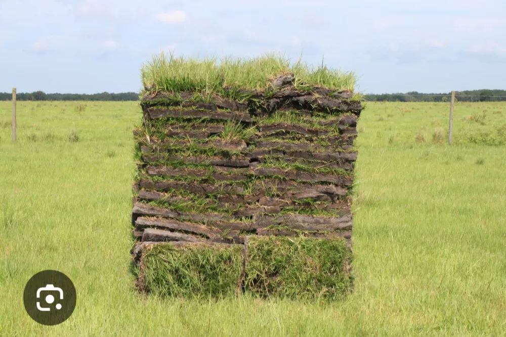 Professional landscape installation experts serving Fellsmere, FL - Blue Back Enterprise