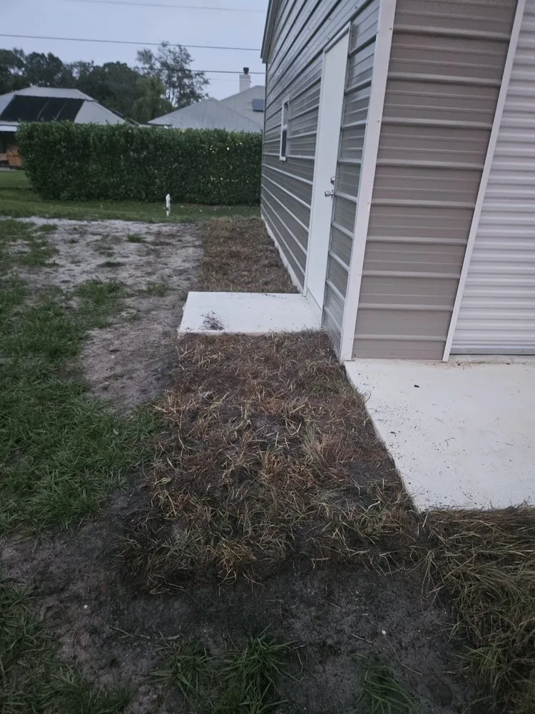 Top-rated landscape installation for homes in Fellsmere, FL by Blue Back Enterprise