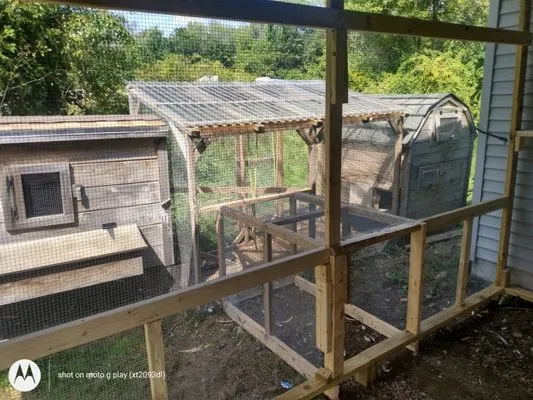 Blue Bear Lawn Care & Handyman Services