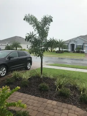 Blue Bell Landscaping