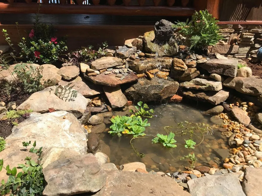 Local yard maintenance for outdoor upgrades in Blue Ridge, GA by Blue Bird Landscaping Company