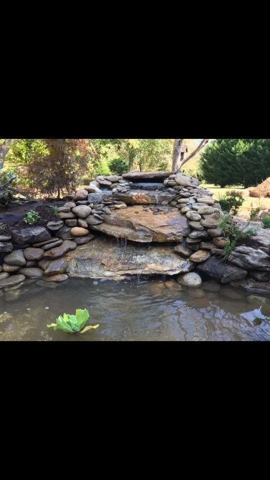 Expert yard maintenance for outdoor upgrades across Blue Ridge, GA - Blue Bird Landscaping Company