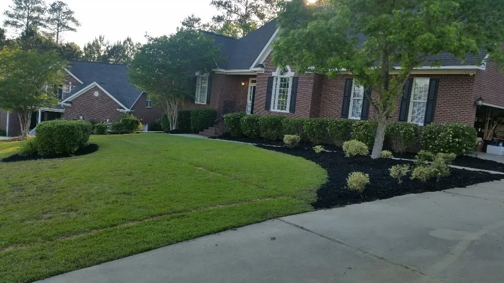 Affordable yard cleanup service with custom design across Irmo, SC - Blue Bird Lawn Service