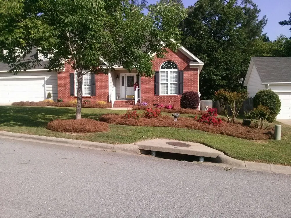 Expert outdoor landscaping with custom design in Irmo, SC by Blue Bird Lawn Service