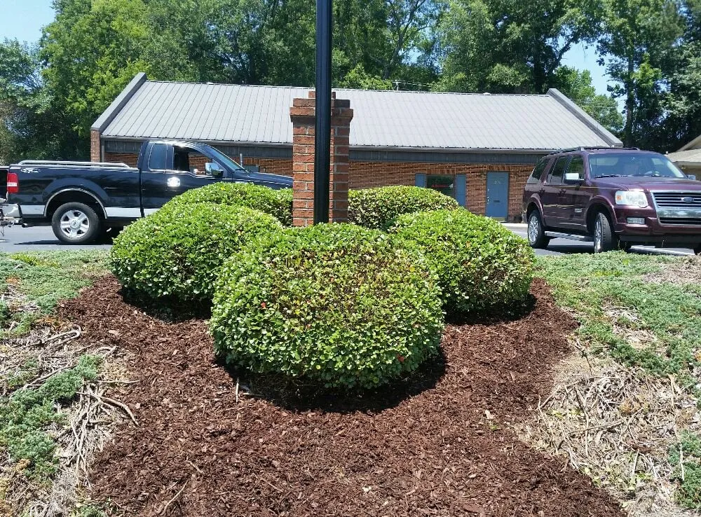 Trusted residential landscaping experts serving Irmo, SC - Blue Bird Lawn Service