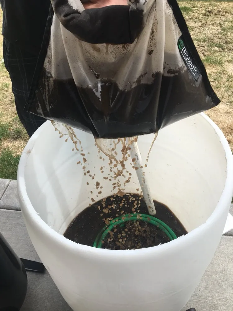 Professional yard cleanup service near you across Belgrade, MT - Blue Bird Property Care