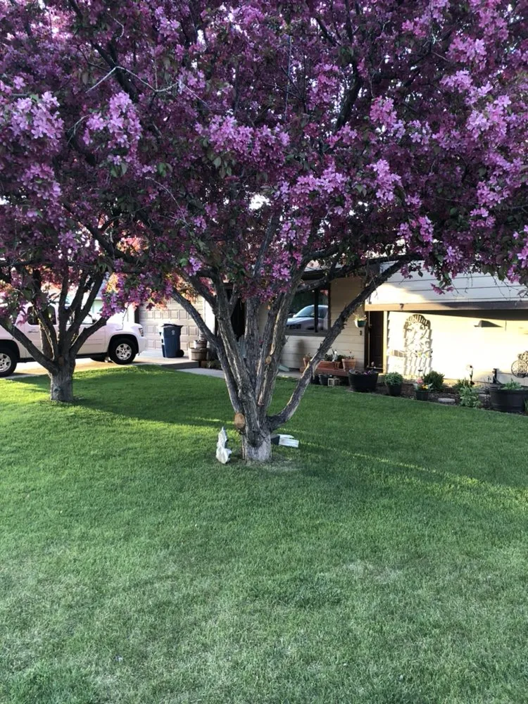 Expert garden landscaping for year-round maintenance across Belgrade, MT - Blue Bird Property Care