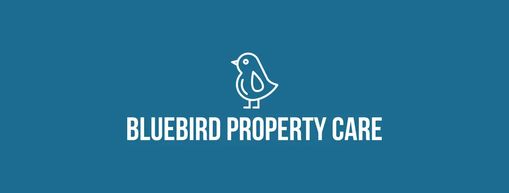 Professional landscape installation experts serving Belgrade, MT - Blue Bird Property Care