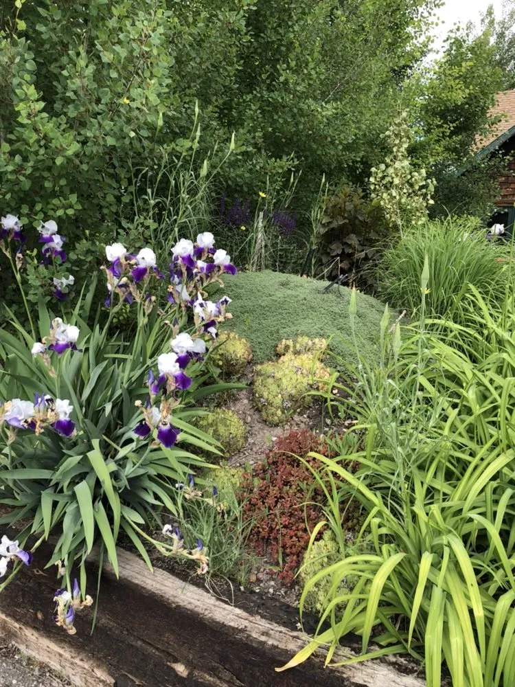 Trusted lawn care service experts serving Belgrade, MT - Blue Bird Property Care