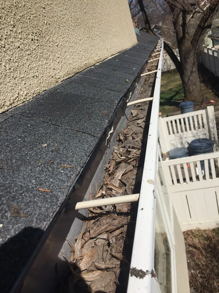 Top-rated lawn care service experts serving Belgrade, MT - Blue Bird Property Care