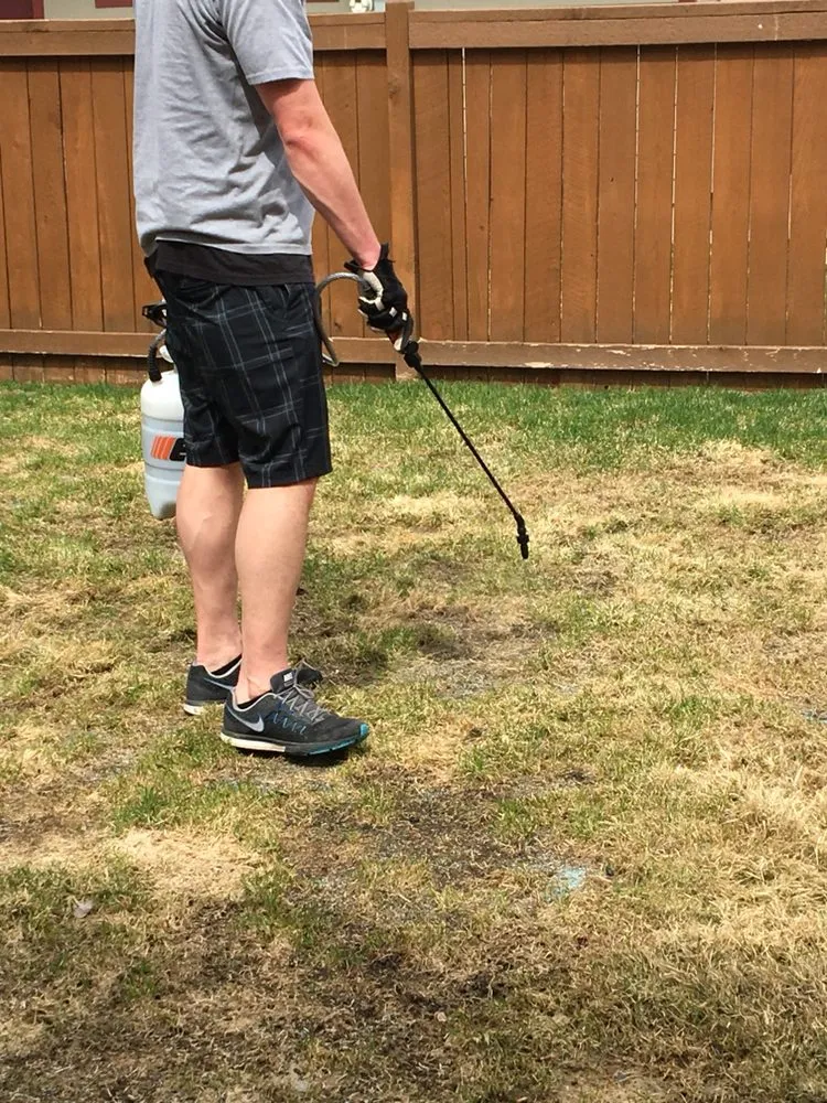 Top-rated landscape installation near you across Belgrade, MT - Blue Bird Property Care