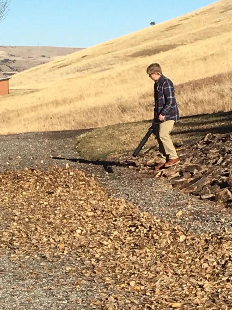 Affordable residential landscaping in Belgrade, MT - Blue Bird Property Care