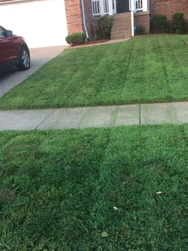 Trusted lawn mowing service for beautiful yards in Louisville, KY by Blue Blade LawnCare and Landscaping