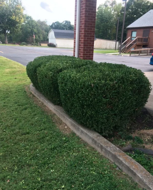 Custom lawn mowing service experts serving Louisville, KY - Blue Blade LawnCare and Landscaping