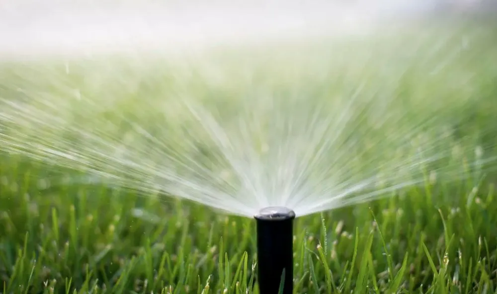 Professional yard maintenance for outdoor upgrades in Louisville, KY by Blue Blade LawnCare and Landscaping