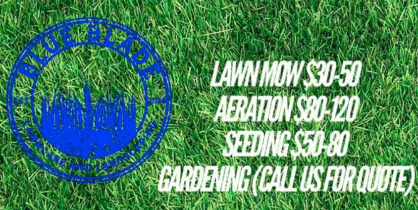 Trusted yard cleanup service for residential properties across Louisville, KY - Blue Blade LawnCare and Landscaping