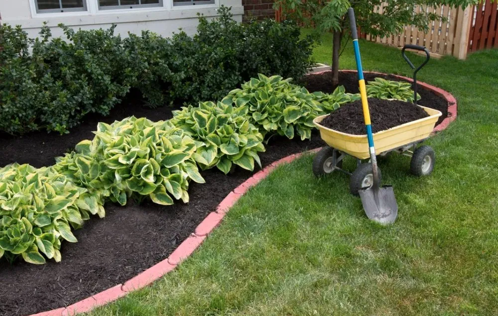 Reliable landscaping services for year-round maintenance across Louisville, KY - Blue Blade LawnCare and Landscaping