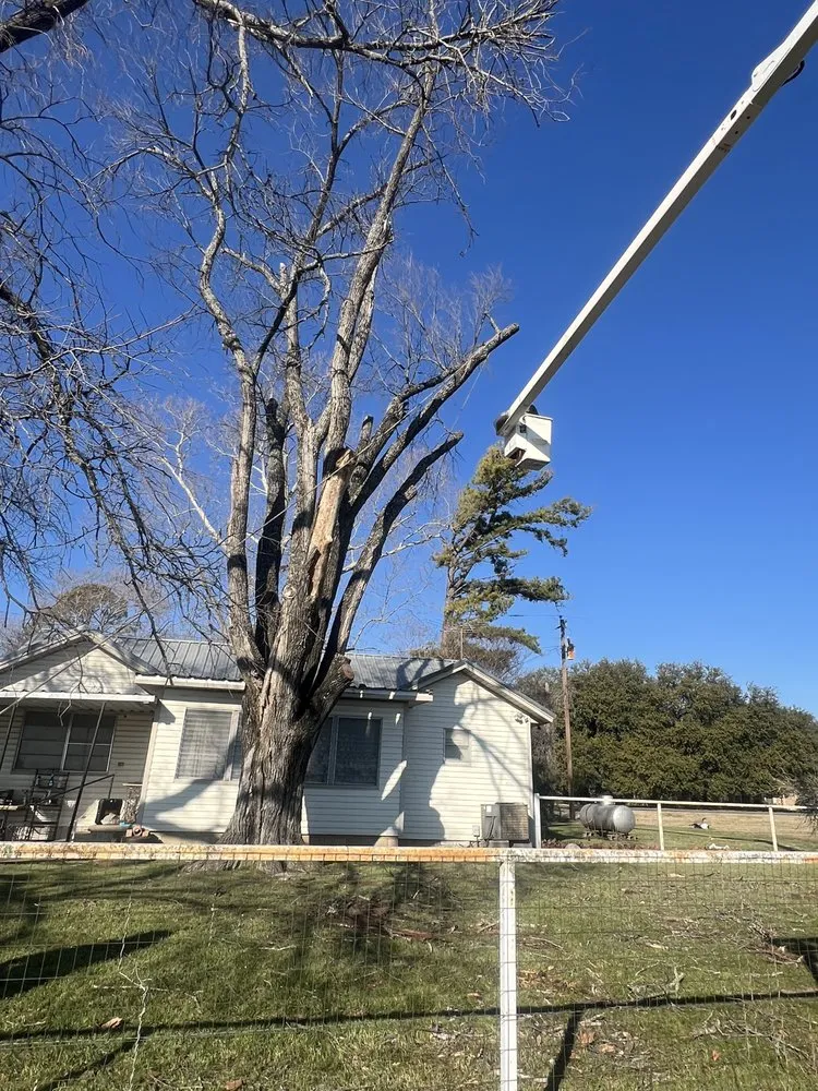 Professional yard maintenance in Cameron, TX by Blue Bonnet Lawn Care