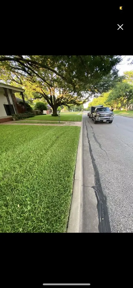 Reliable residential landscaping for year-round maintenance in Cameron, TX by Blue Bonnet Lawn Care