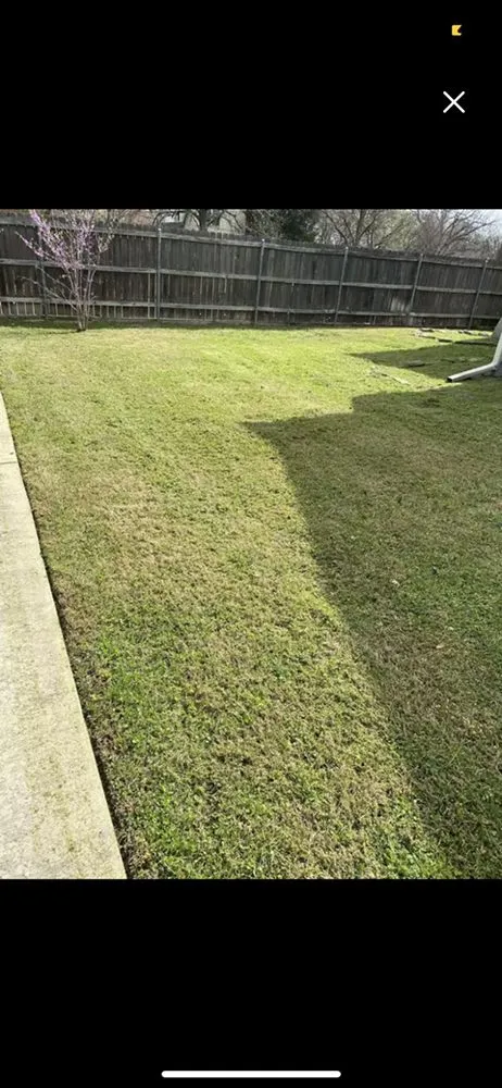 Top-rated landscape design in Cameron, TX - Blue Bonnet Lawn Care