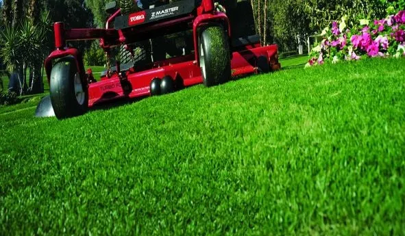 Affordable garden landscaping experts serving Pflugerville, TX - Blue Bonnet Lawn Service