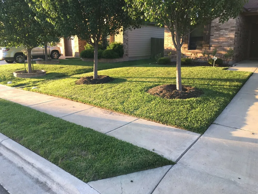 Professional garden landscaping in Pflugerville, TX by Blue Bonnet Lawn Service