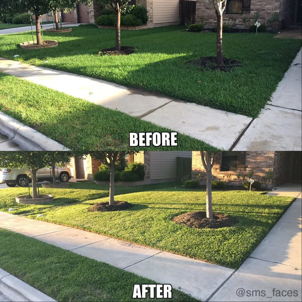 Top-rated residential landscaping in Pflugerville, TX - Blue Bonnet Lawn Service