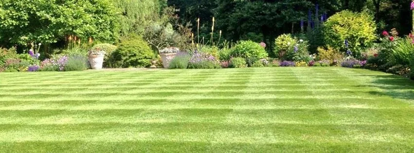 Custom garden landscaping in Pflugerville, TX by Blue Bonnet Lawn Service