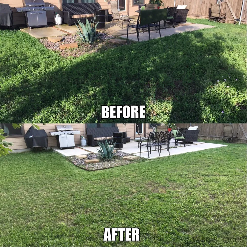Top-rated landscaping services in Pflugerville, TX by Blue Bonnet Lawn Service