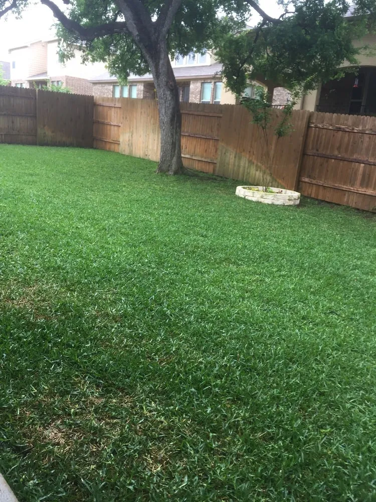 Local lawn care service in Pflugerville, TX by Blue Bonnet Lawn Service