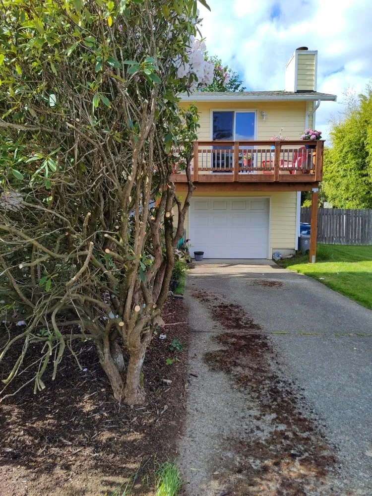Trusted yard maintenance for year-round maintenance across Kent, WA - Blue Boy Lawn Care
