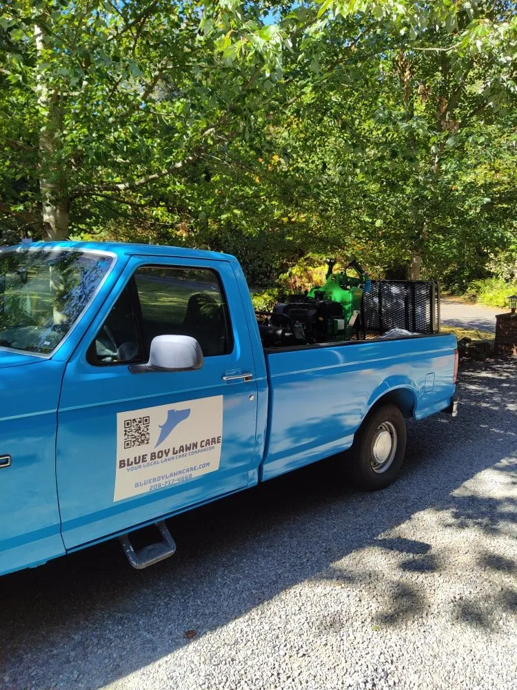 Reliable yard cleanup service with custom design in Kent, WA by Blue Boy Lawn Care