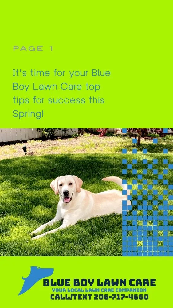 Top-rated lawn mowing service near you across Kent, WA - Blue Boy Lawn Care