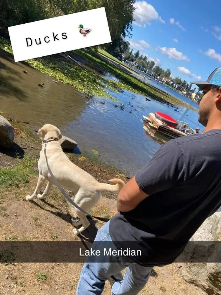 Affordable landscaping services in Kent, WA by Blue Boy Lawn Care