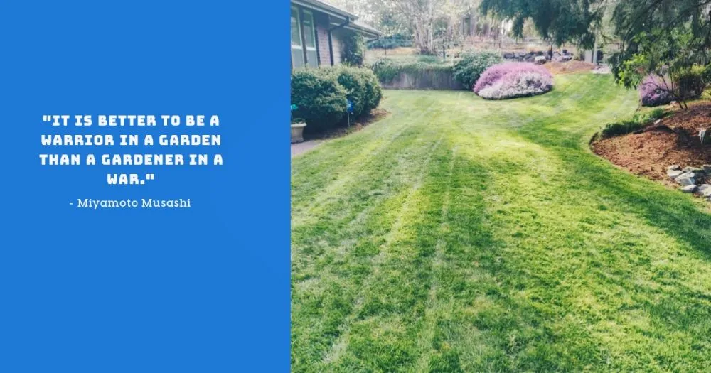 Affordable outdoor landscaping in Kent, WA - Blue Boy Lawn Care
