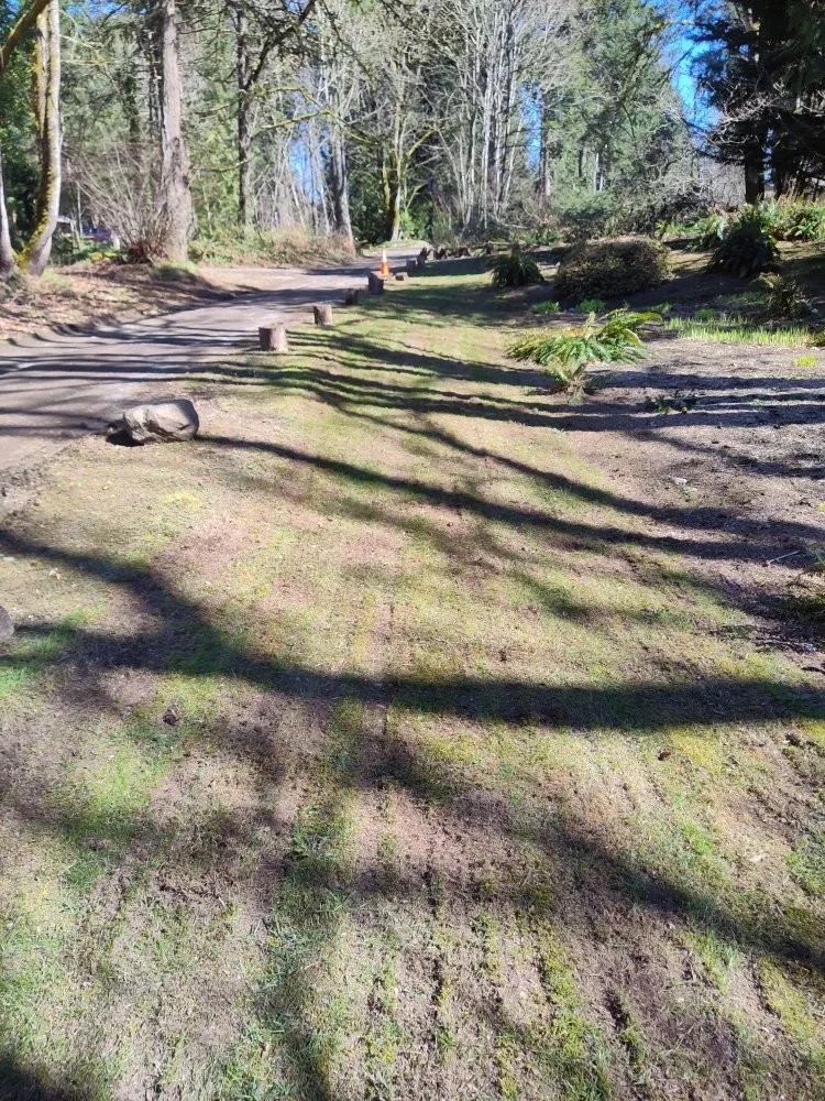 Expert landscape design in Kent, WA by Blue Boy Lawn Care