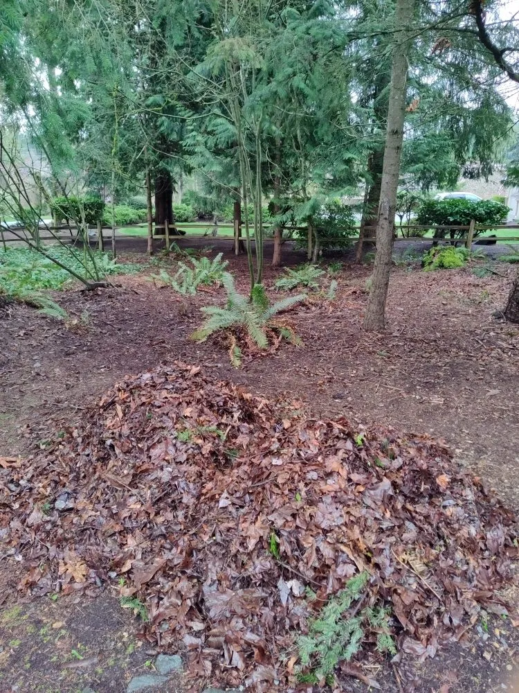 Reliable garden landscaping in Kent, WA - Blue Boy Lawn Care