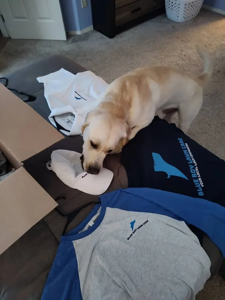 Professional lawn mowing service for outdoor upgrades in Kent, WA by Blue Boy Lawn Care