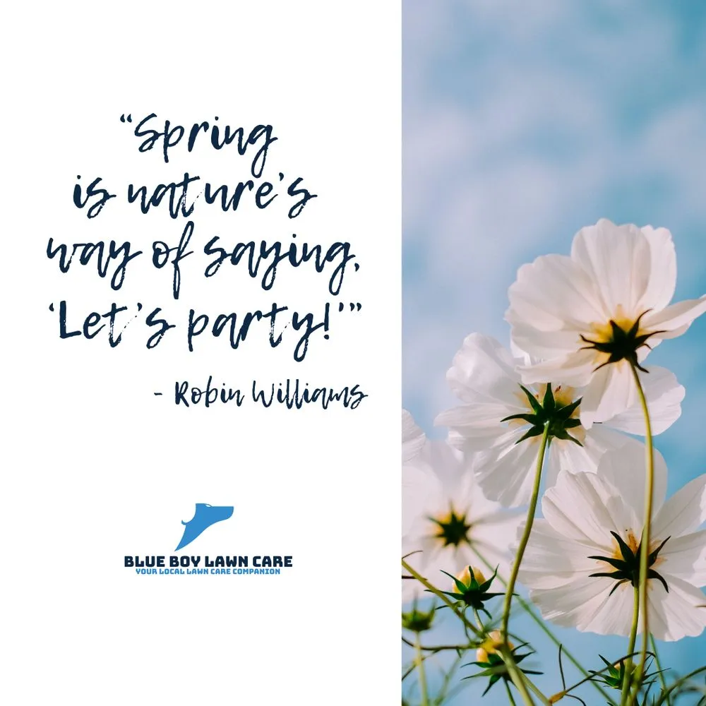 Affordable residential landscaping for outdoor upgrades in Kent, WA by Blue Boy Lawn Care