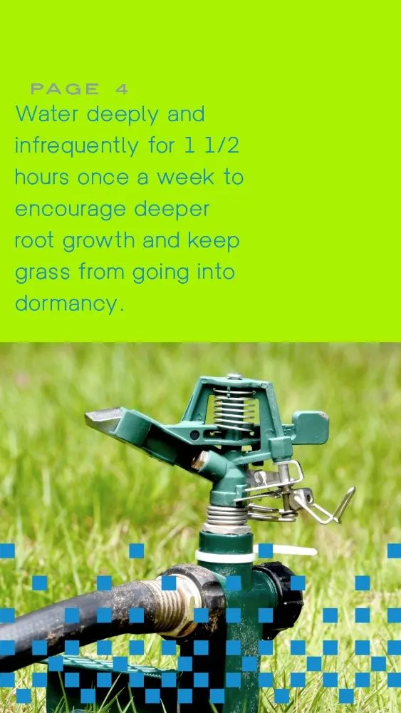 Local lawn mowing service experts serving Kent, WA - Blue Boy Lawn Care