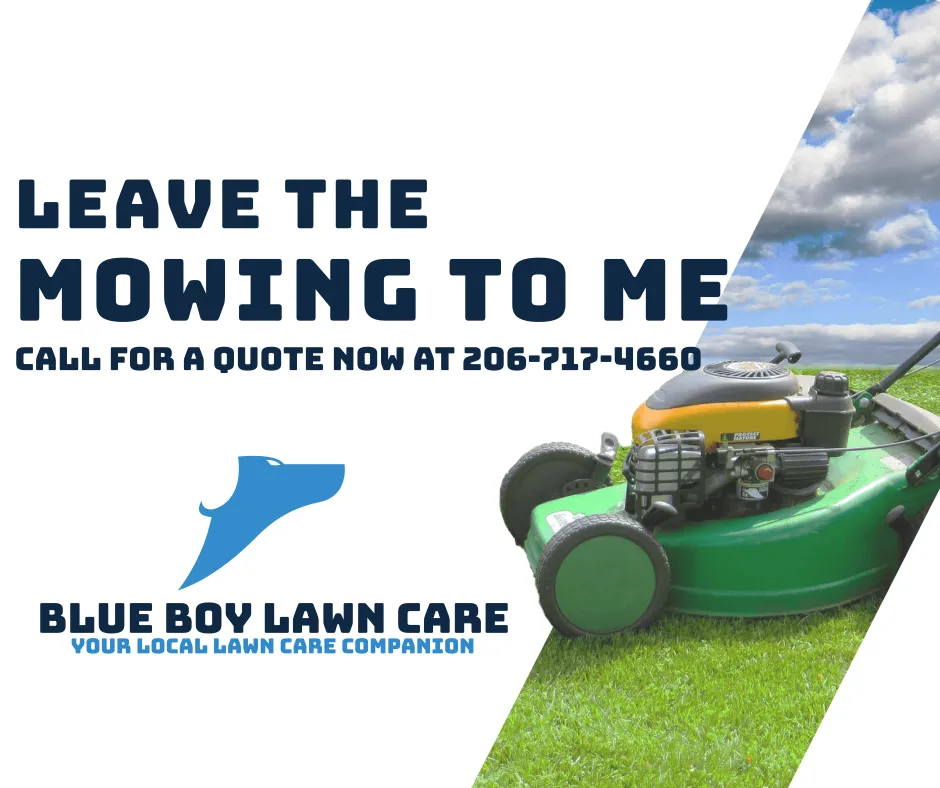 Custom lawn care service experts serving Kent, WA - Blue Boy Lawn Care
