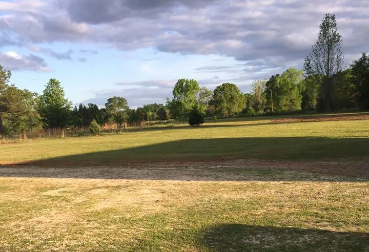 Expert landscape design experts serving Slidell, LA - Blue Bullet Lawn And Maintenance