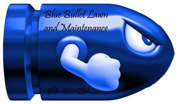 Blue Bullet Lawn And Maintenance