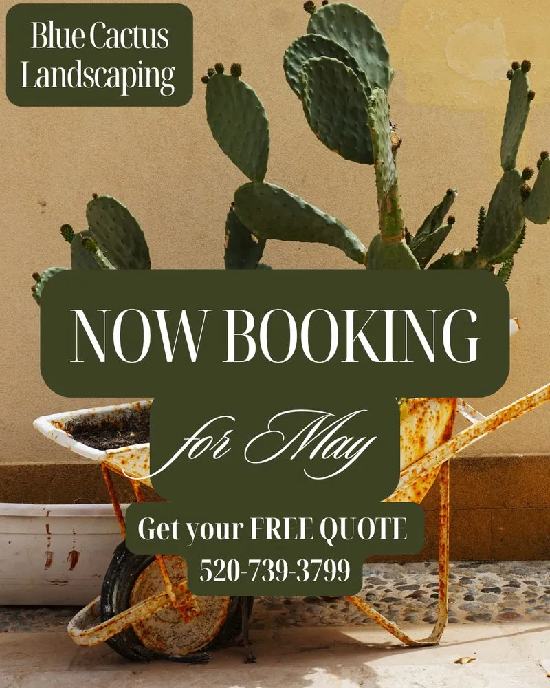 Custom lawn mowing service experts serving Tucson, AZ - Blue Cactus Landscaping