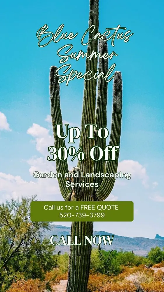 Affordable garden landscaping experts serving Tucson, AZ - Blue Cactus Landscaping