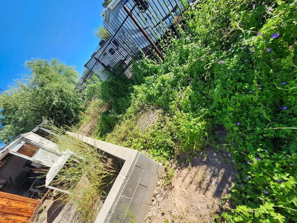 Trusted landscape installation in Tucson, AZ by Blue Cactus Landscaping