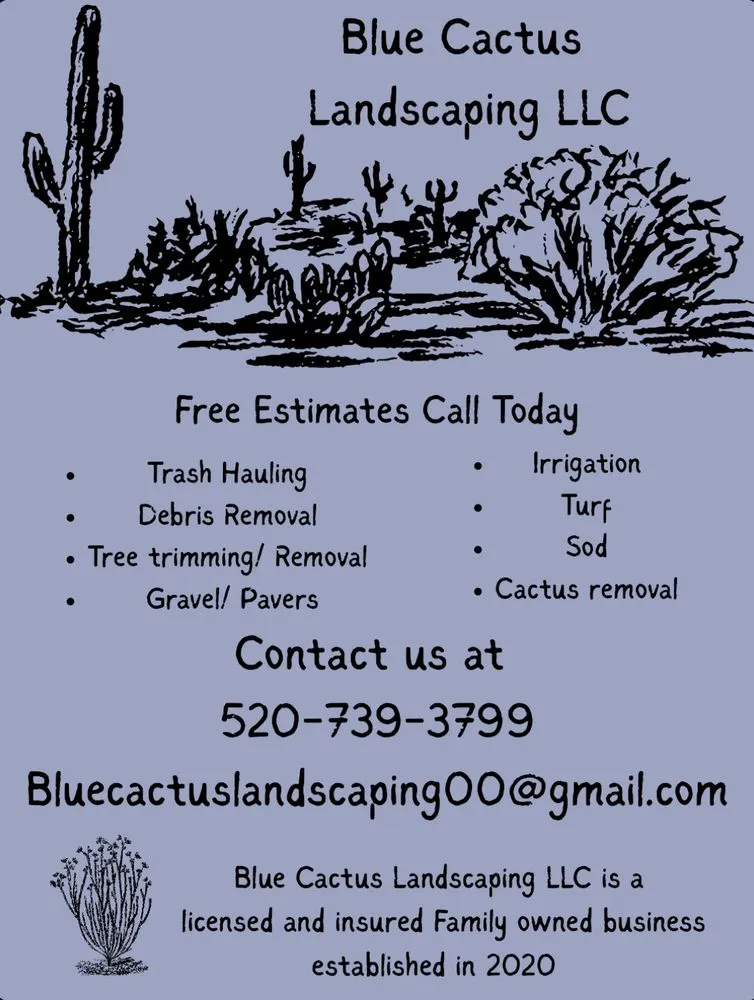 Reliable yard maintenance in Tucson, AZ by Blue Cactus Landscaping