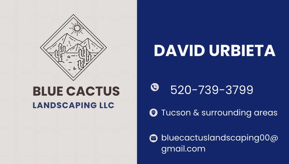 Professional outdoor landscaping in Tucson, AZ by Blue Cactus Landscaping